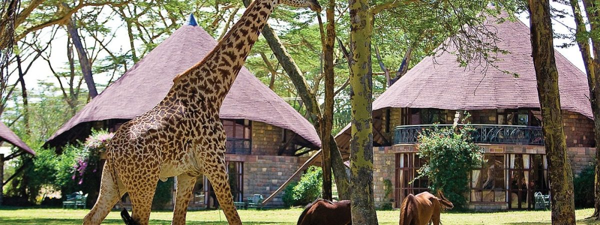 Lake Naivasha Sopa Lodge - best Kenya safari lodges in Naivasha