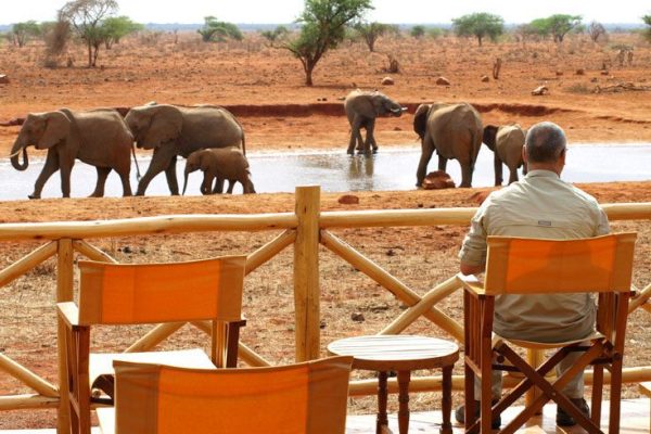 Ngutuni Safari Lodge Ngutuni Safari Lodge